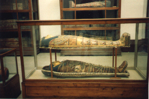 Mumie im gyptischen Museum